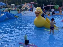 -重庆海昌加勒比海水世界