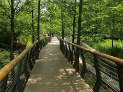 -白水寺森林公园