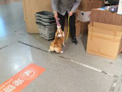 -宠物世家(仲盛世界商城店)