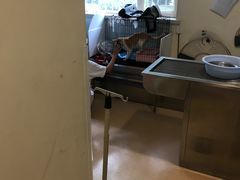 -瑞派·关忠动物医院(国瑞店)