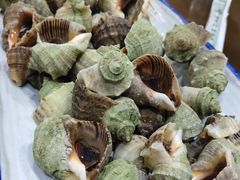 -抹直口特色菜馆(一店)