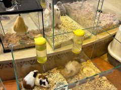 -天河领展广场