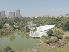 -春霞园餐厅