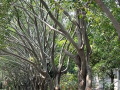 -草庵摩尼教遗址公园