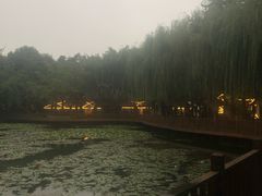 -巴山一绝烤全羊(三圣乡刘家花园店)