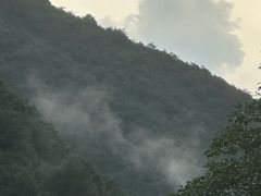 -东天目山风景区