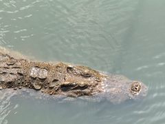 -广东茂名森林公园