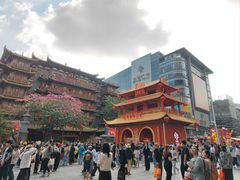 -越秀西湖花市(广州城市广场花卉店)