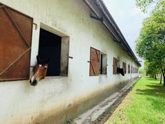 -松声马术俱乐部