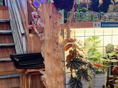 -Rabbit Cafe私房西餐甜点咖啡(栖霞路店)