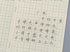 -牛背梁国家森林公园