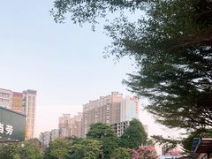 -云味馆·云南菜·云南米线(沙井华润店)