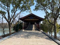 -长广溪湿地公园