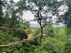 -芦仙山景区-飞越丛林探险乐园
