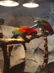 -Zoolung Zoolung动物主题公园(海信广场店)