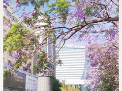 -南屏步行街