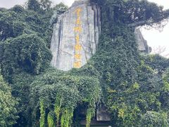 -云南野生动物园