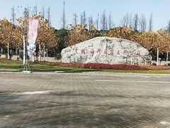 -上海海湾国家森林公园