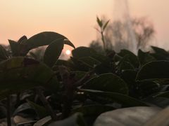 -成飞公园