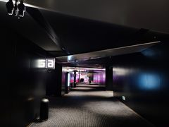 -奥斯卡升龙国际影城(RealD Cinema)