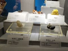 -湖南省地质博物馆