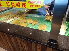 -洪湘记川湘·甲鱼馆(四海凯悦美食广场店)