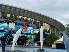 -海合安成都极地海洋公园