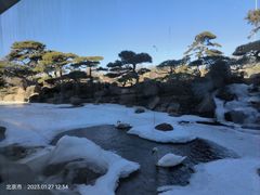 -罗红摄影艺术馆