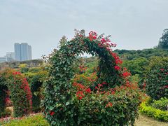 -东莞植物园
