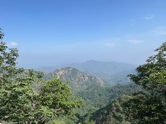 -大岭沟猕猴桃谷风景区