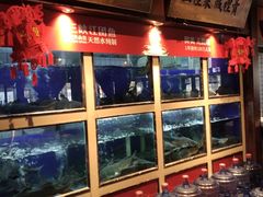 -老阿爸鲜鱼土菜(昆山花桥店)