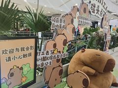 -凯德MALL(西直门店)