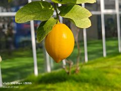 -中国农科院国家农业科技展示园