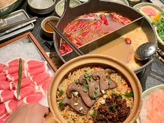 -大龙燚·旷野鲜火锅(广州首店)
