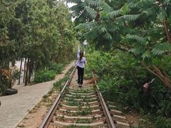 -府君山公园