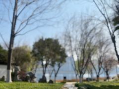 -大拙里·精致融合菜(沙湖桃源国际店)