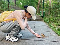 -汤旺河林海奇石景区