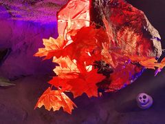 -醉小酒馆·川菜·江湖菜·重庆菜(观音桥旗舰店)