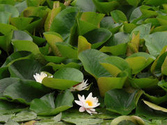 -贵阳市花溪国家城市湿地公园