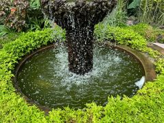 -新加坡植物园