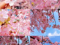 -上海辰山植物园
