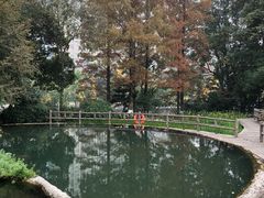 -成都市活水公园