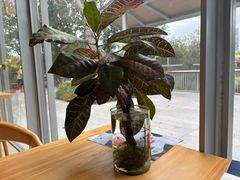 -木嘛working coffee&bar(碧道馆店)