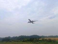 -空港花田景区