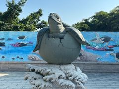 -广东惠东海龟国家级自然保护区