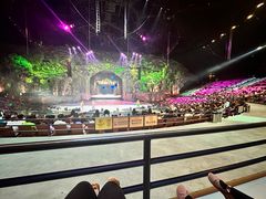 -广州长隆国际大马戏