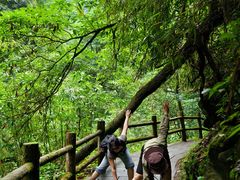 -西岭雪山大飞水景区