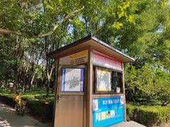 -朝阳公园游乐园