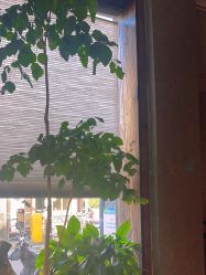 -香秀空间科技抗衰·美容中心