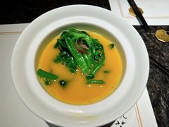 -觀芷隐轩